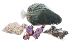 31 Suvo cveće za dekoraciju